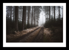 Nebelwald