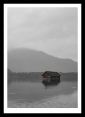 Almsee